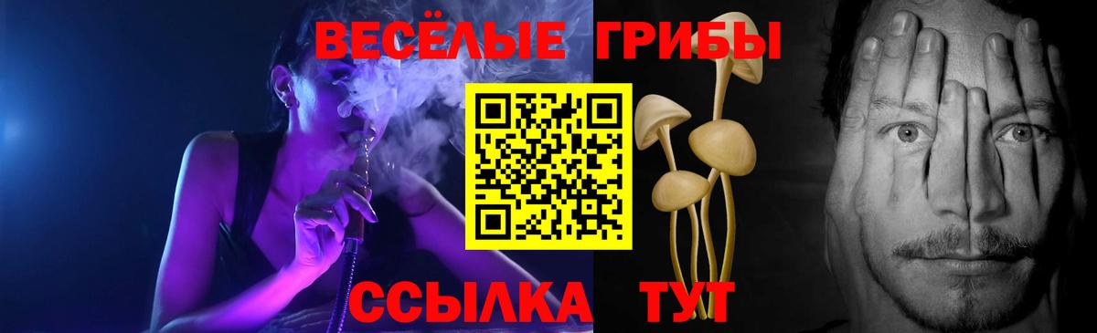 Клин  Псилоцибиновые грибы мухоморы  Вход с VPN  Псилоцибиновые грибы GOLDEN TEACHER 
